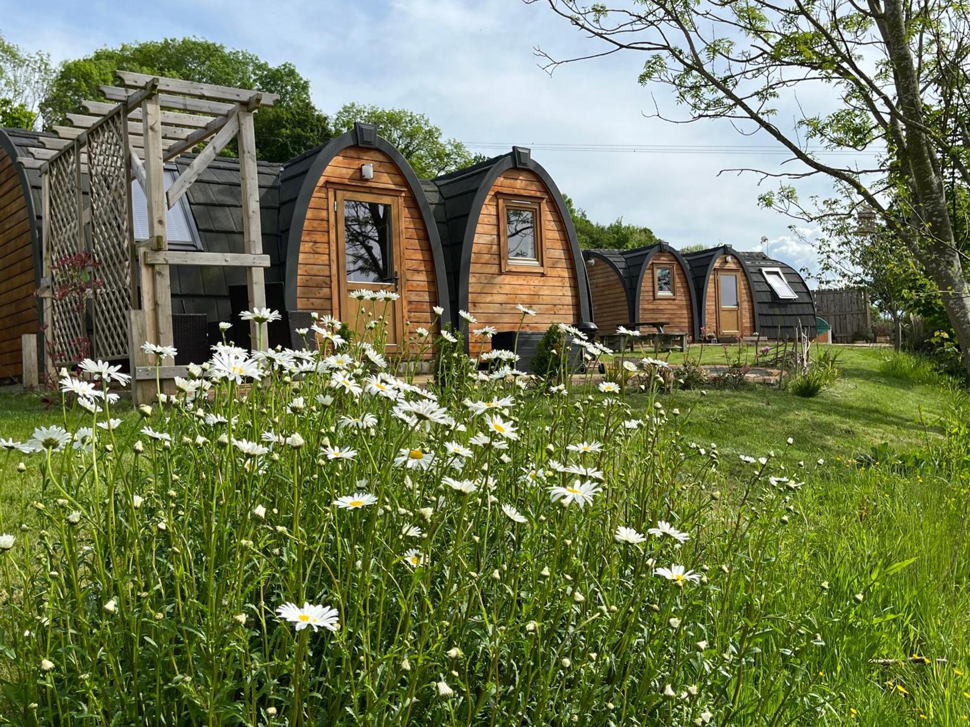 Hedgehog Glamping Pod School House Farm Hotel Leighton  Exterior photo
